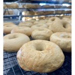 Jacobs Plain Bagels